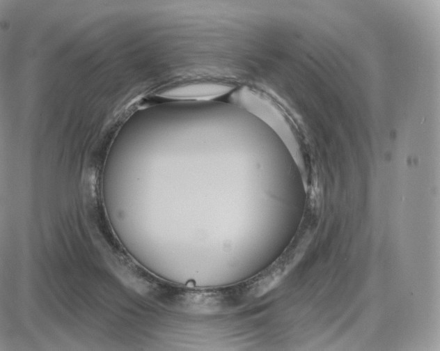 X0000087630117200705241224