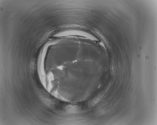 X0000087630119200705241224