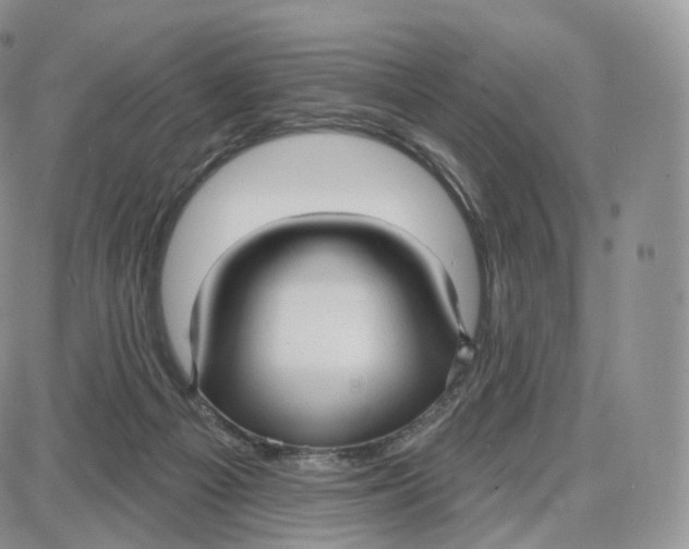 X0000087630121200705241224