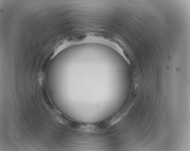 X0000087630125200705241224