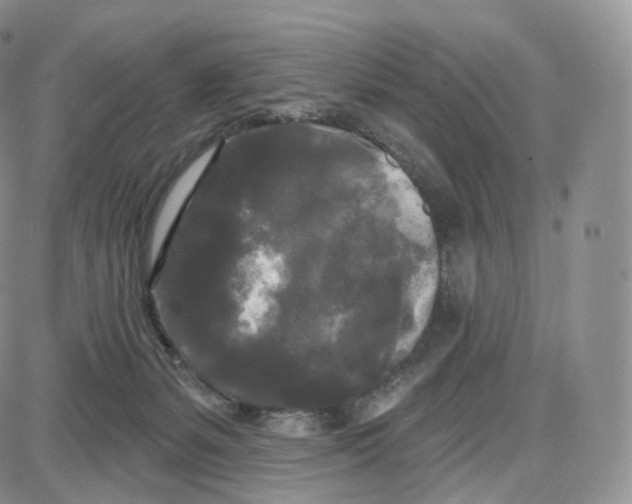 X0000087630127200705241224