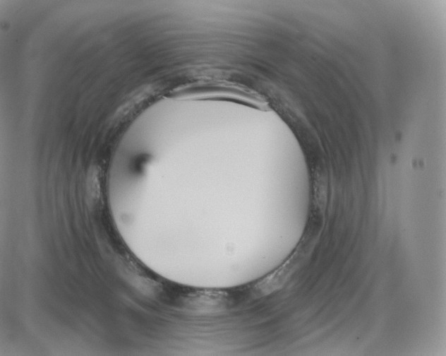 X0000087630128200705241224