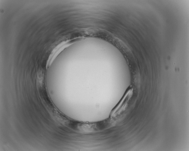 X0000087630129200705241224