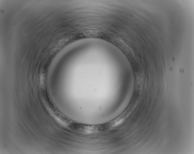 X0000087630130200705241224