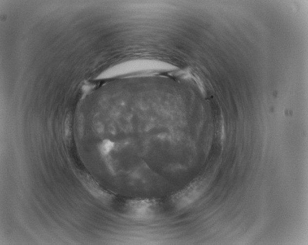 X0000087630131200705241224