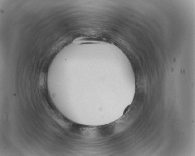 X0000087630132200705241224