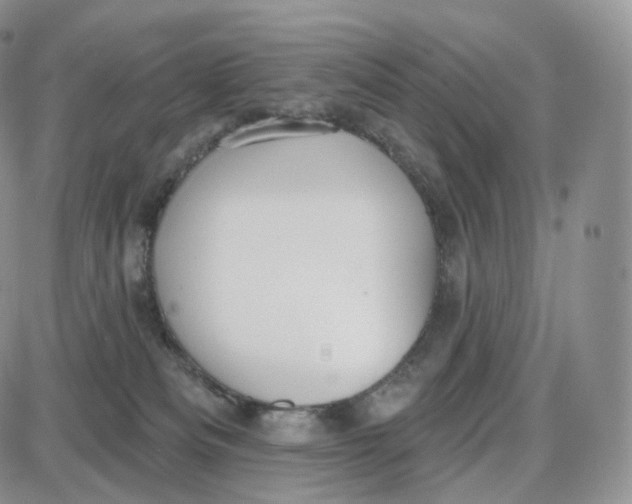 X0000087630133200705241224