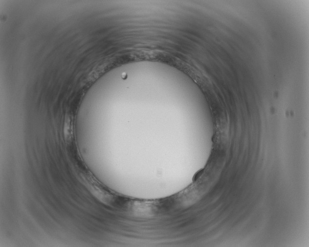 X0000087630134200705241224