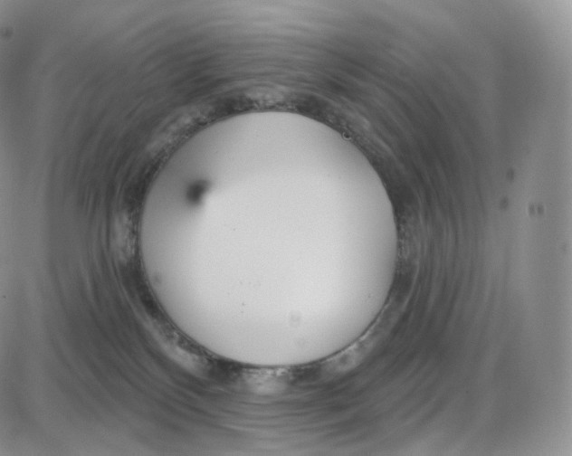 X0000087630136200705241224