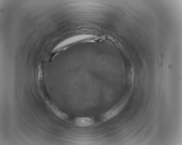 X0000087630137200705241224