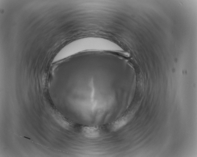 X0000087630139200705241224