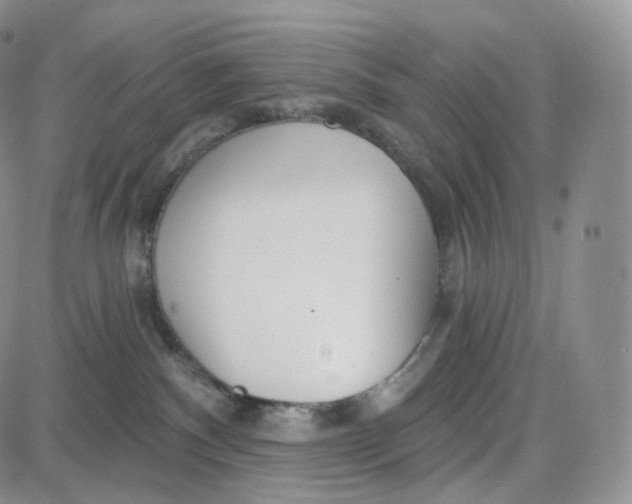 X0000087630140200705241224