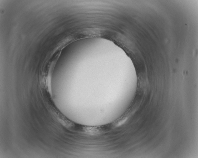 X0000087630141200705241224