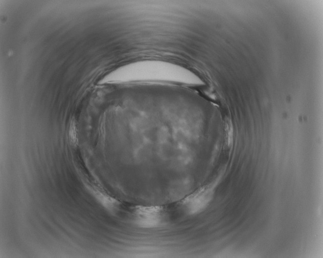 X0000087630143200705241224