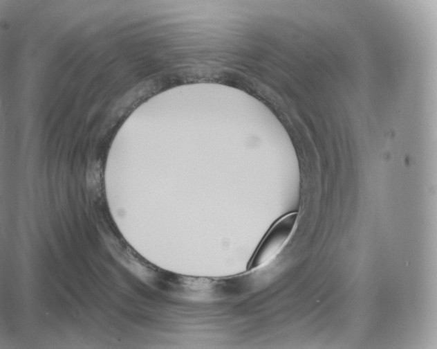 X0000087630144200705241224