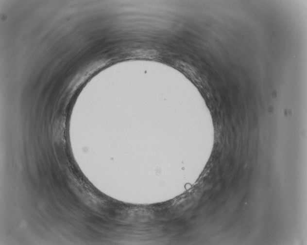 X0000087630146200705241223