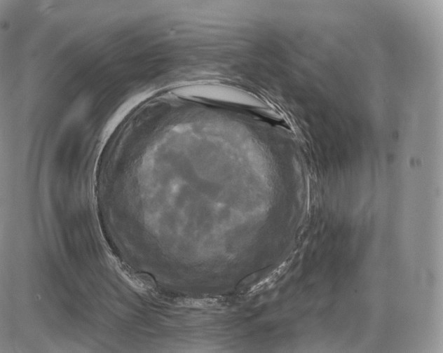 X0000087630147200705241223