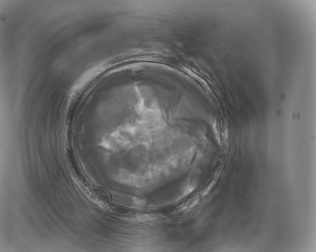 X0000087630149200705241223