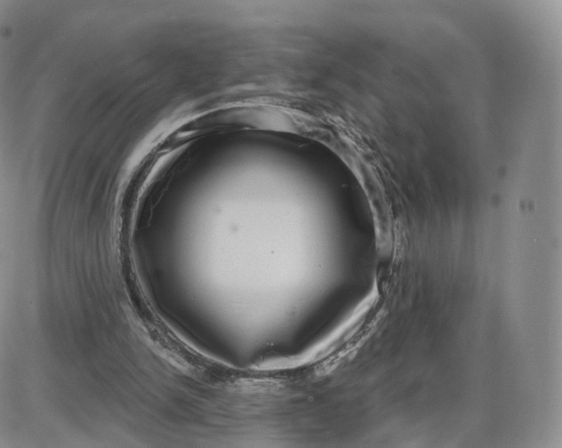 X0000087630150200705241223