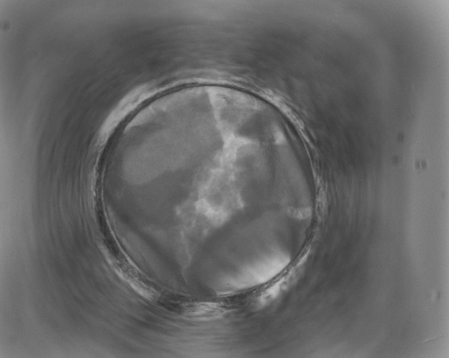 X0000087630151200705241223