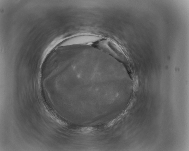 X0000087630152200705241223