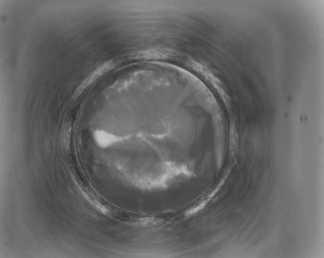 X0000087630153200705241223