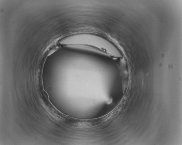 X0000087630154200705241223