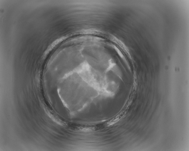 X0000087630155200705241223