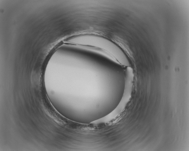 X0000087630156200705241223