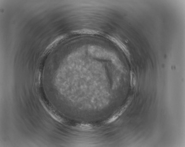 X0000087630157200705241223