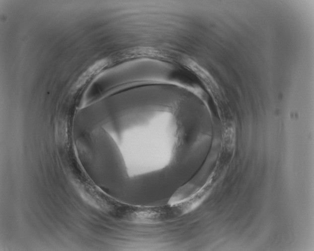 X0000087630158200705241223