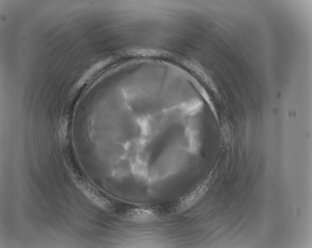 X0000087630159200705241223