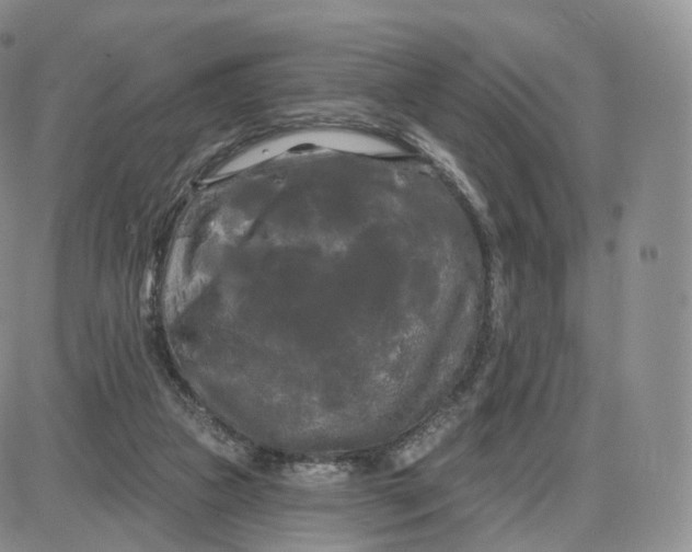 X0000087630161200705241223