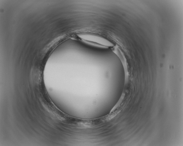 X0000087630164200705241224