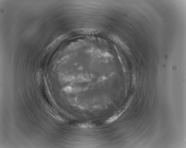 X0000087630165200705241224