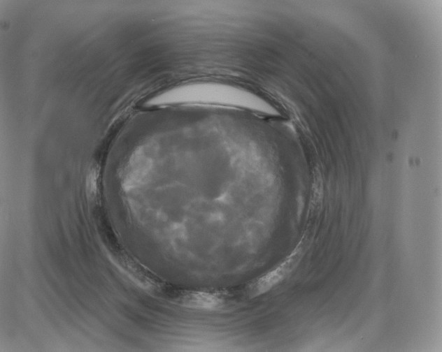 X0000087630166200705241224