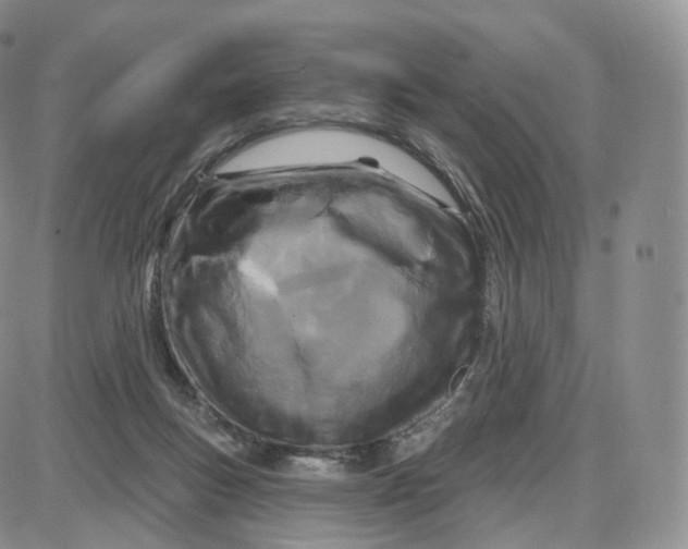 X0000087630167200705241224