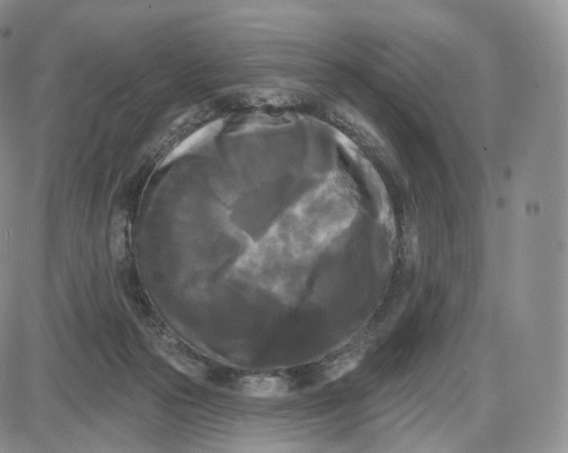 X0000087630169200705241224