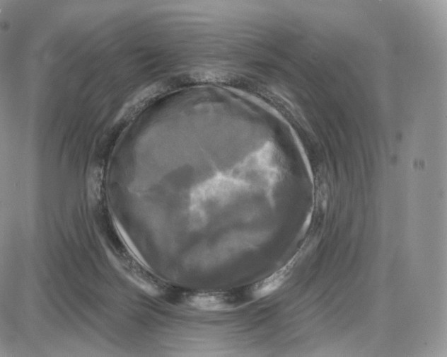 X0000087630171200705241224