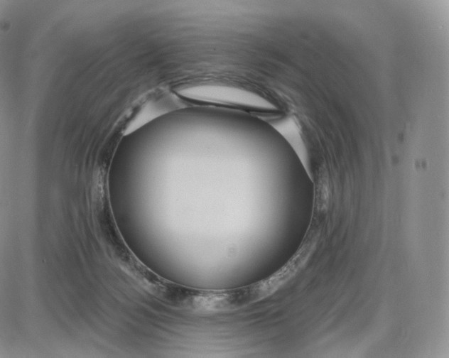 X0000087630172200705241224