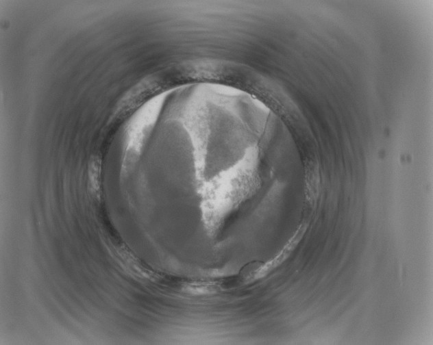 X0000087630175200705241224