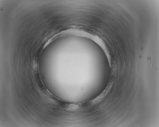 X0000087630176200705241224