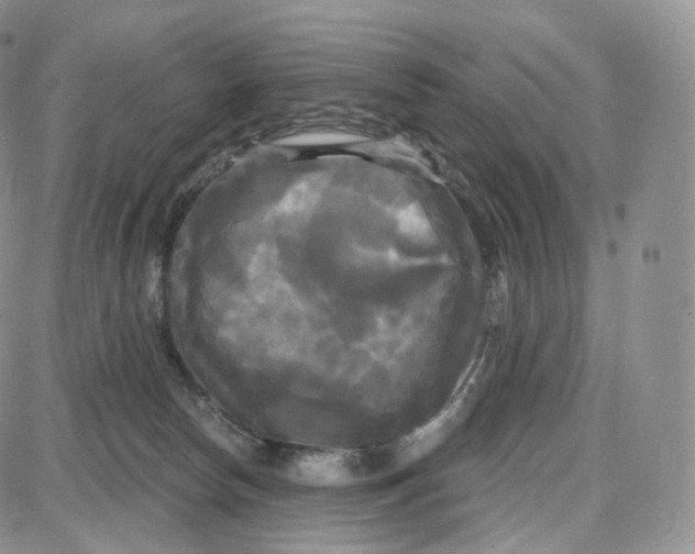 X0000087630178200705241224