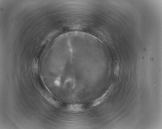 X0000087630179200705241224