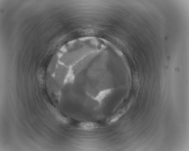 X0000087630181200705241224