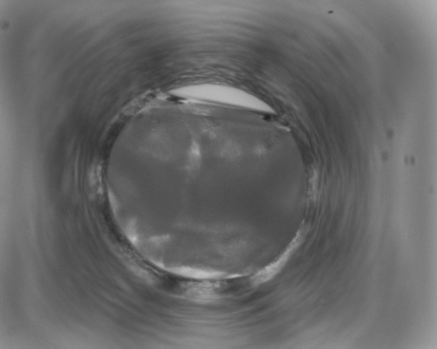 X0000087630182200705241224