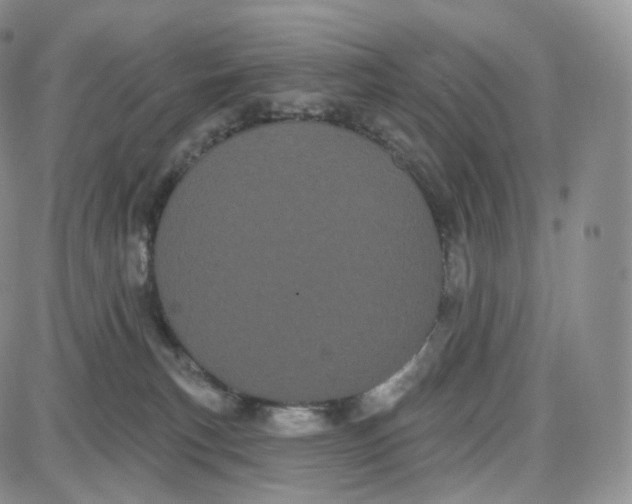 X0000087630183200705241224