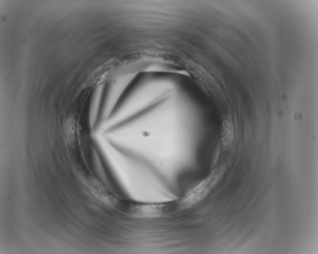 X0000087630184200705241224