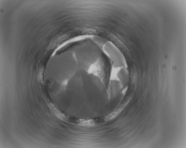 X0000087630185200705241224