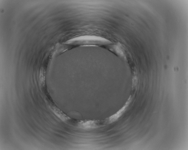 X0000087630186200705241224